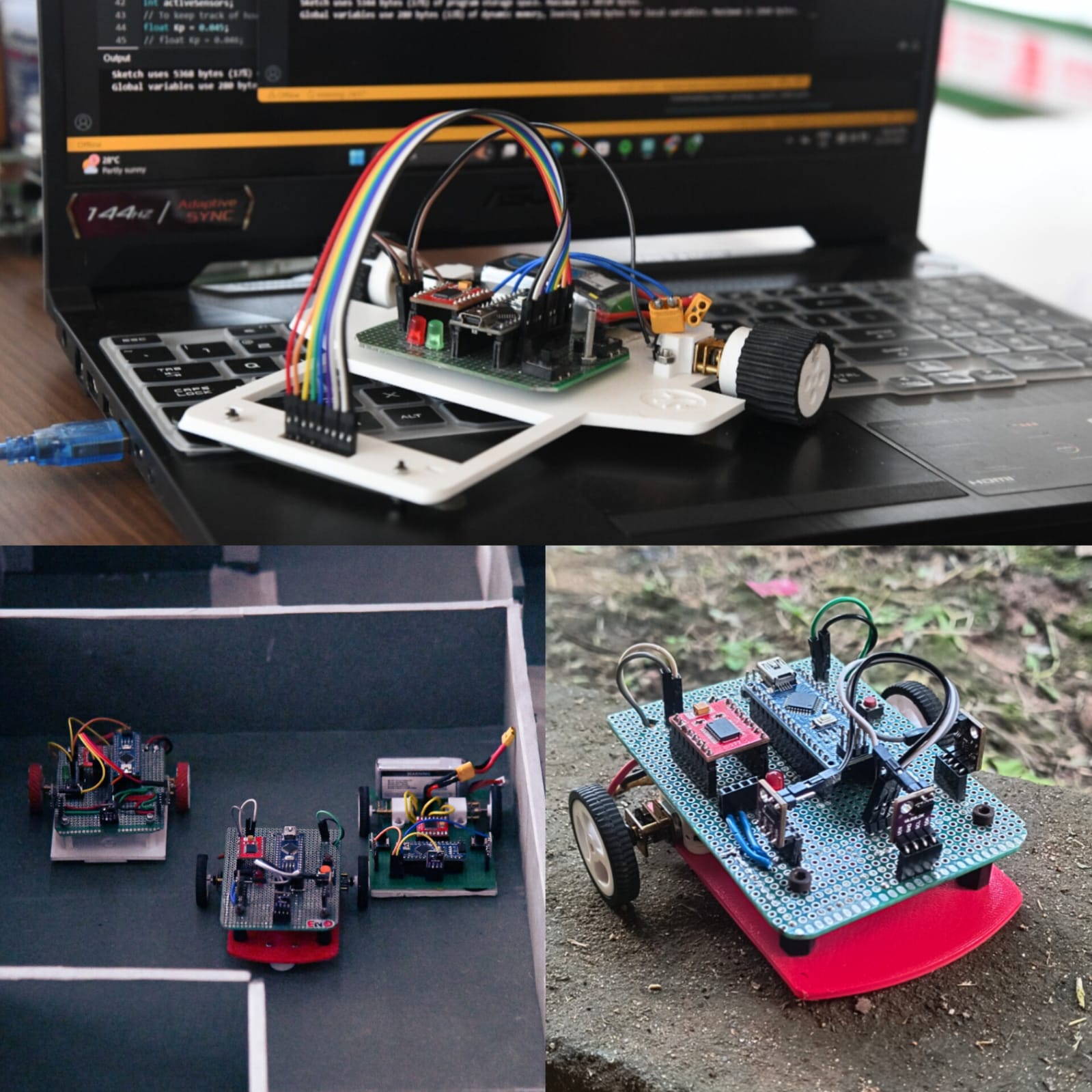 Soft Robotics Project